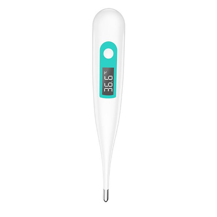 Thermometer ea Oral Digital