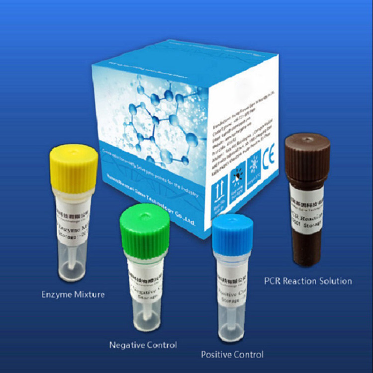 Li-Reagent Diagnostic Test Kits tsa Covid-2019 li ipapisitse le Platform ea Pcr ea nako ea 'nete